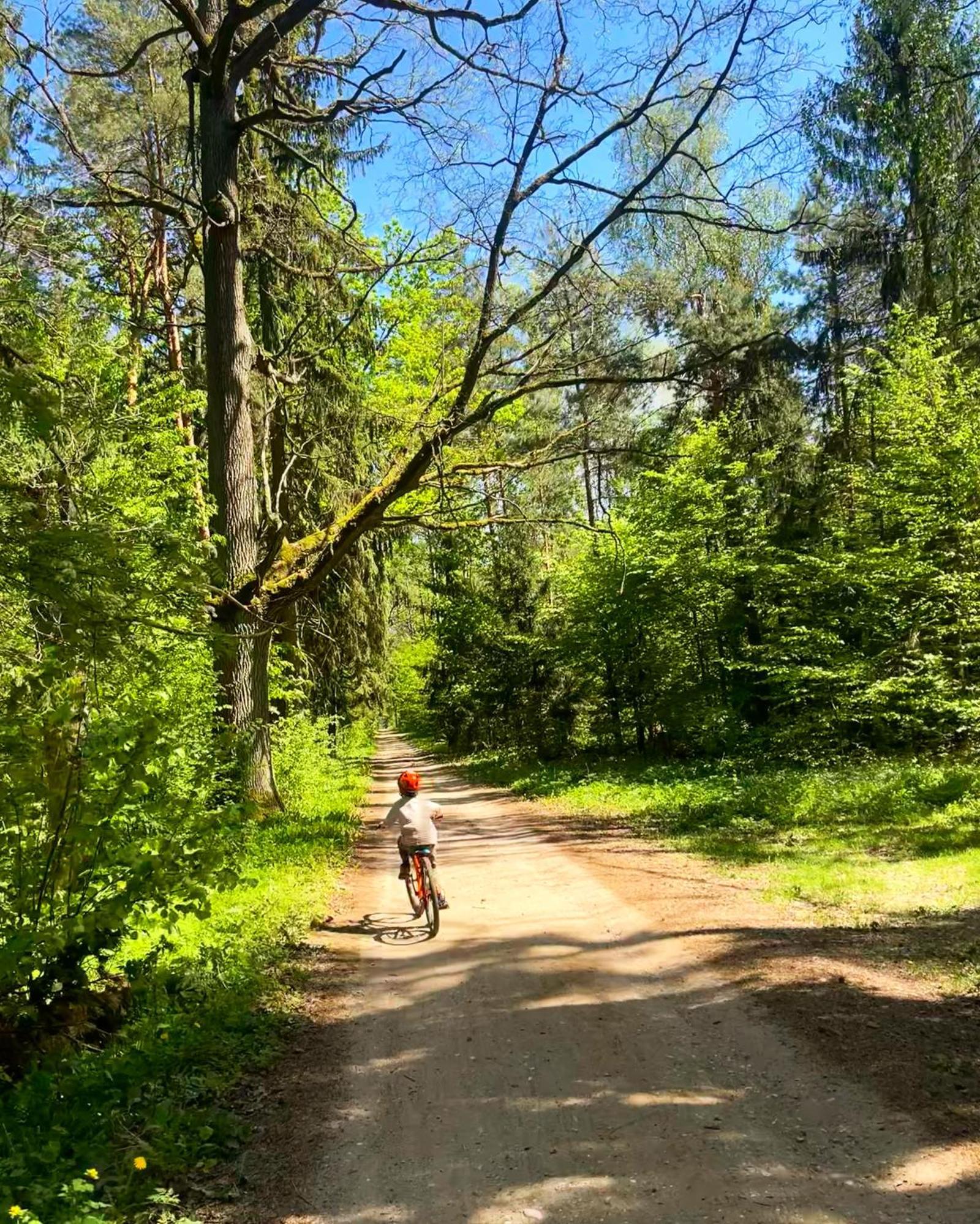 Apartament Magia Puszczy Z Widokiem Na Puszcze Bialowieska Hajnówka Exteriör bild